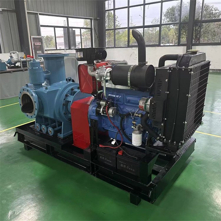柴油機(jī)驅(qū)動(dòng)雙螺桿泵